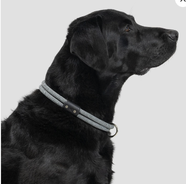 Lifetime Climbing Rope Dog Collar